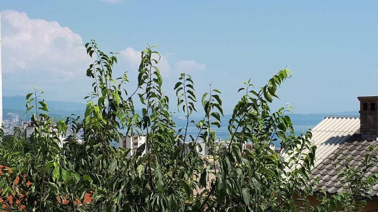 Apartment Jasmina Rijeka Bagian luar foto